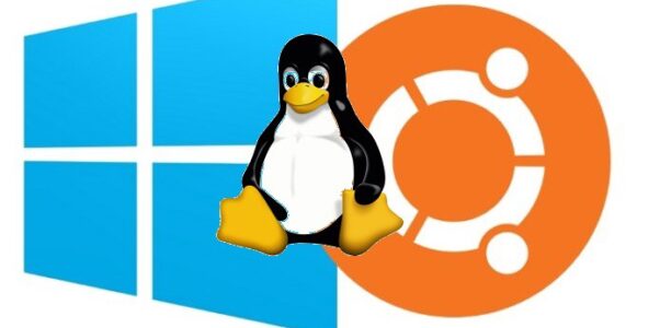 Software Review: Windows Subsystem for Linux