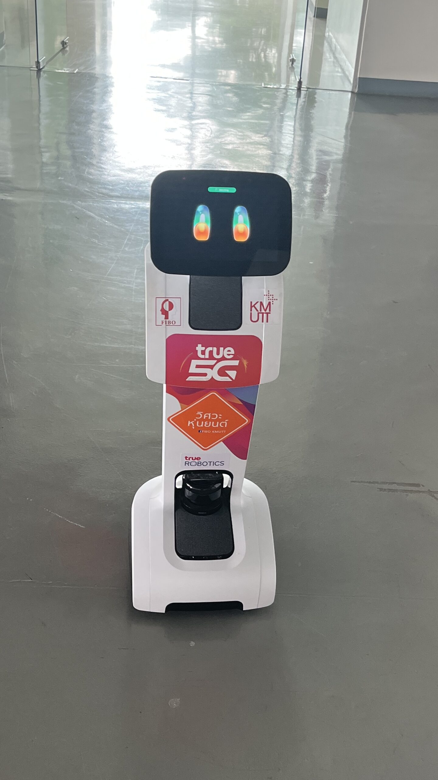 Robotic Temi For Disabled person